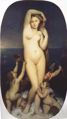 Jean Auguste Dominique Ingres The Birth of Venus (mk04) Norge oil painting art